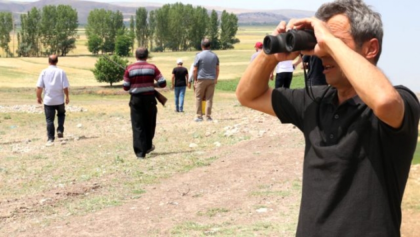 Çorum'da halk silahlanıp aslan avına çıktı