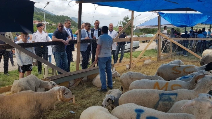 Vali Gürel, kurbanlık pazarını gezdi
