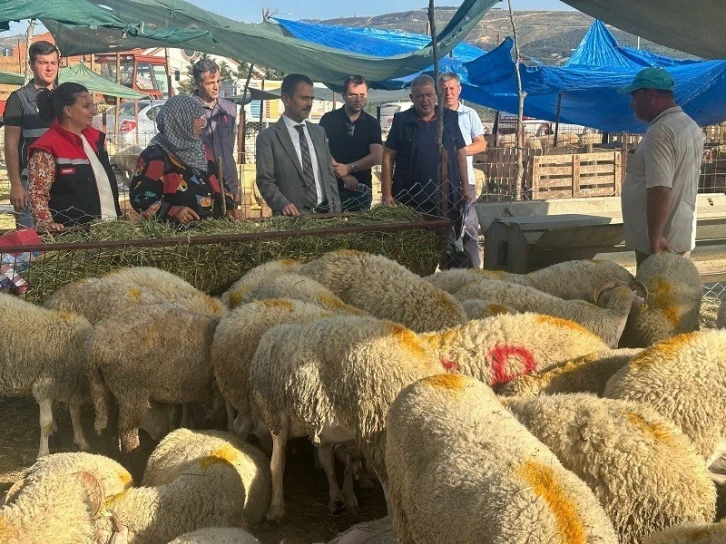 Vali İlhami Aktaş, Canlı Hayvan Pazarı ve Cuma Pazarında incelemelerde bulundu
