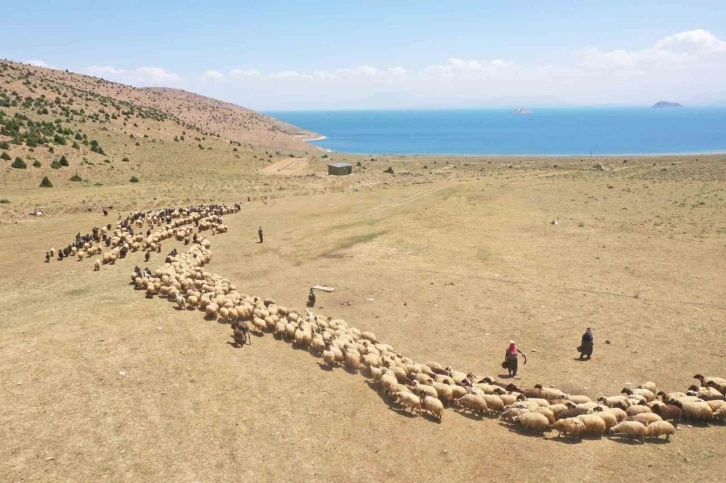 Van’da yaylaya güneş enerjisiyle su ulaştırıldı
