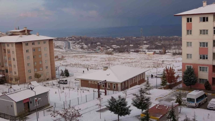 Van kar yağışıyla beyaza büründü
