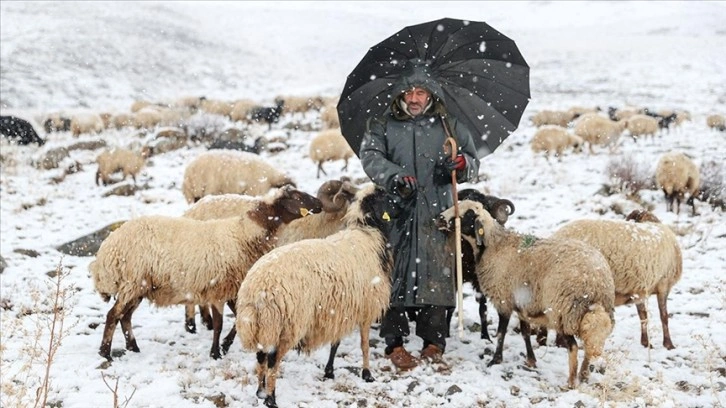 Van ve Hakkari'de kar etkili oldu