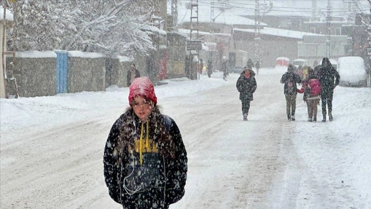 Van'ın yüksek kesimlerinde kar kalınlığı 45 santimetreye ulaştı