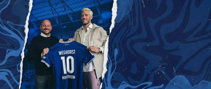 Wout Weghorst, Hoffenheim’da
