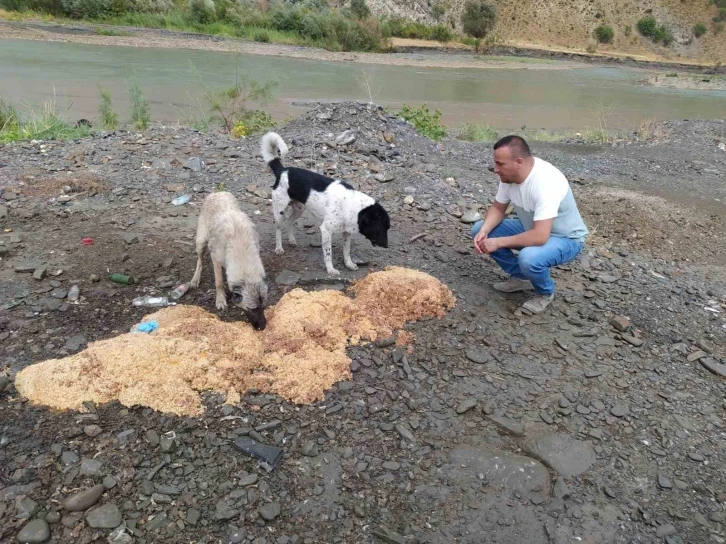 Yağmurlu havada can dostlara yiyecek bırakıldı
