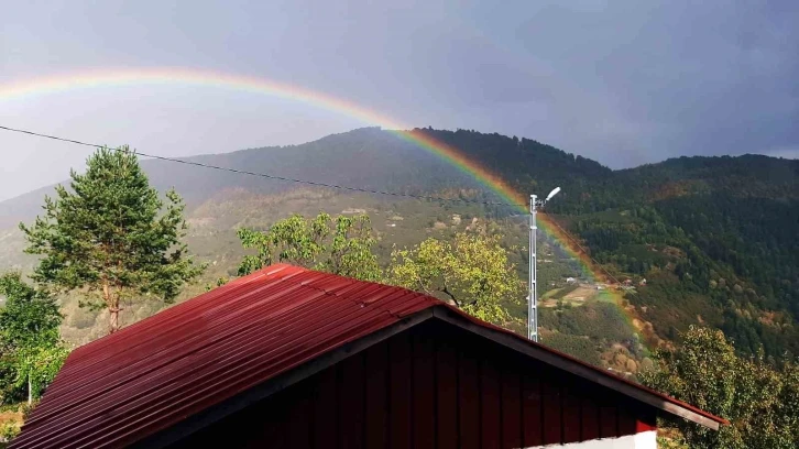 Yağmurun ardından gelen güzellik
