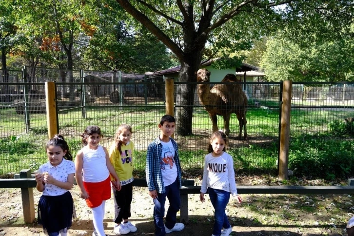 Yalova Belediyesi’nden hayvanat bahçesi gezisi
