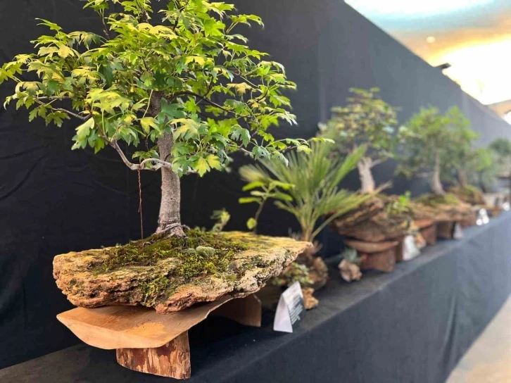 Yalova’da, 3. Uluslararası Bonsai Sempozyumu