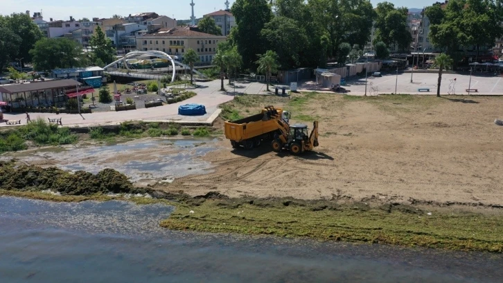 Yalova’da lodos sonrası yosunlar kaplanan kıyı şeridi temizlendi
