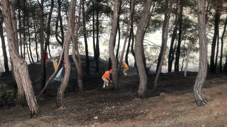 Yangın söndürüldü, vatandaş piknikçilere tepki gösterdi
