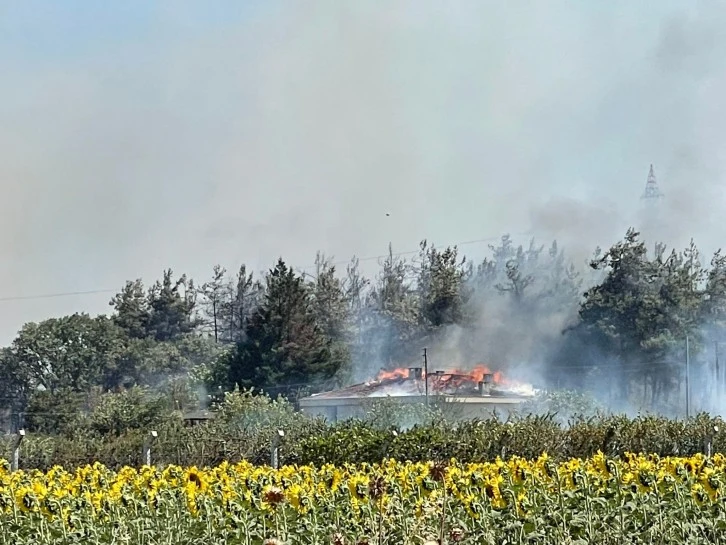 Yangında Uludağ Üniversitesine ait tesisin çatısı yandı
