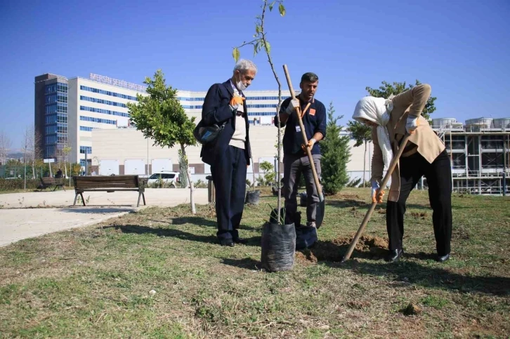 Yaşlılar tedavi gördükleri hastanenin bahçesine fidan dikti
