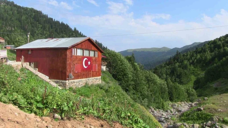 Yayla şenliklerinde Kafkas arı ırkı ve ürünleri tanıtıldı
