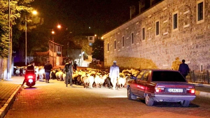 Yayladan indiler şehir merkezinden geçtiler: Koyun sürüsünün yolculuğu kamerada
