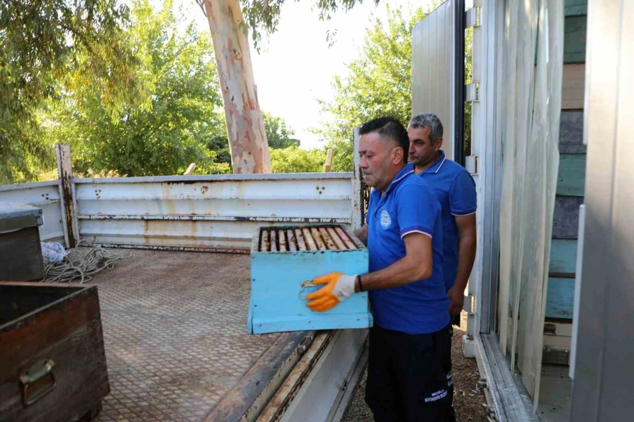 Yerel yönetimler arasında bir ilk: Temiz Petek Projesi
