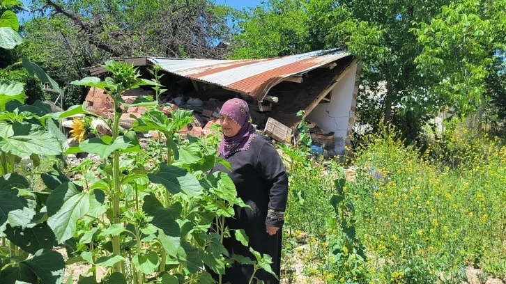 Yıkılan evlerinin enkazında yeşeren ‘ayçiçekleri’ ile nefes almaya çalışıyorlar
