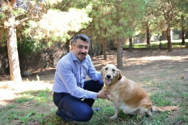 Yıldırım Belediyesi, sokak hayvanlarını besleme faaliyetlerini yoğunlaştırdı