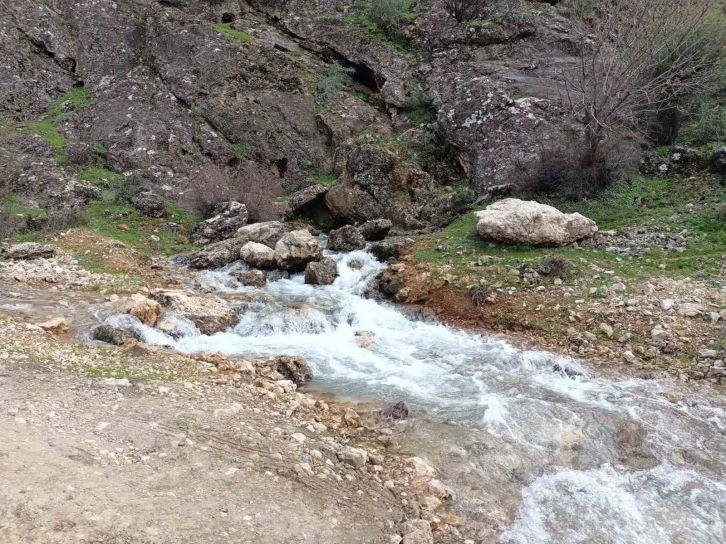 Yıllardır kuruyan su kaynağından depremden sonra su çıktı
