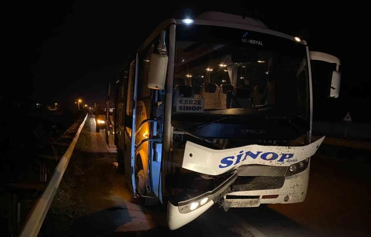 Samsun'da yolcu otobüsünün çarptığı inek telef oldu