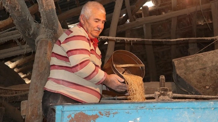 Yozgatlı değirmenci babasından kalan ekmek teknesinde geleneksel yöntemle un öğütüyor