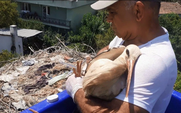 Yuvada ayağına ip dolanan leyleği vatandaşların dikkati kurtardı
