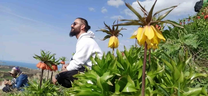 Zerrinkadeh çiçekleri ve terslaleler doğal fotoğraf stüdyosu oldu
