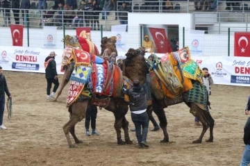 120 pehlivan deve Denizli arenasında buluştu
