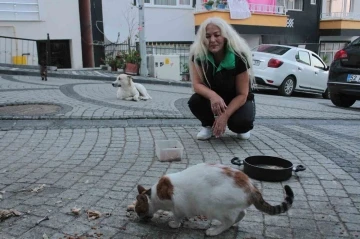 19 yıldır sokak kedilerine annelik yapıyor