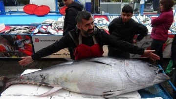 2 metreden büyük orkinosu görenler telefona sarıldı