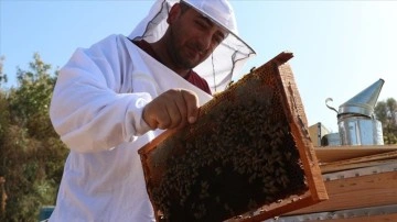 300 kovanı bulunan arıcı yeni meslektaşlar da yetiştiriyor