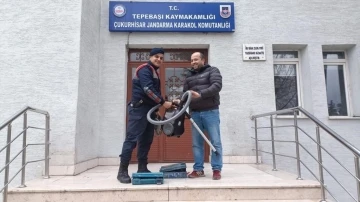 6 hırsızlık olayının 5 şüphelisini jandarma yakaladı
