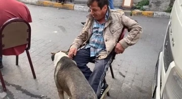 “7 Bela Taner” cinayetinde yaralanan “Bobi”ye mahalleli sahip çıktı
