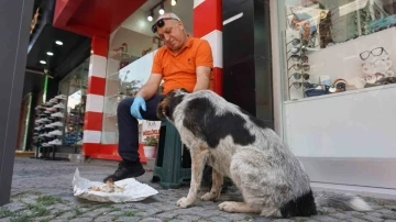 7 yıl önce yaralı halde iş yerinin önüne gelen sokak köpeği esnafın &quot;Dost&quot;u oldu
