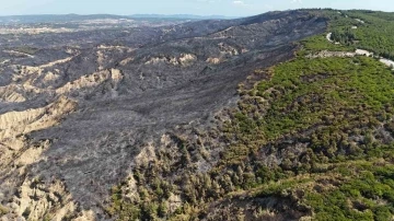 700 hektarlık alanın etkilendiği Tarihi Alan’daki yangın sonrası bölgede soğutma çalışmaları devam ediyor
