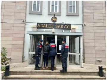 71 dolandırıcılık olayına karışan kadını jandarma yakaladı
