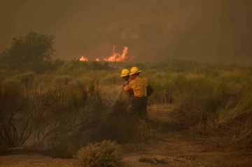 ABD’de orman yangını: 14 bin 625 dönümlük alan yandı
