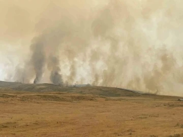 ABD orman yangınlarıyla boğuşuyor
