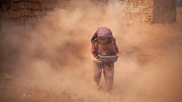 ABD'de, çocuk işçi çalıştıran ülkelerden kakao ithalatının yasaklanması için dava açıldı