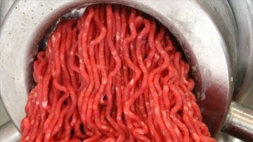 Kıyma kaynaklı Salmonella salgını dolayısıyla 6 kişi hastaneye kaldırıldı