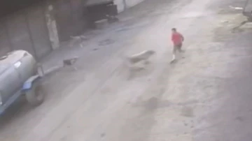 Adana’da 14 yaşındaki çocuk başıboş köpeklerin saldırısına uğradı
