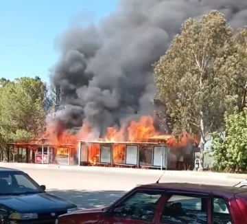 Adana’da kafede çıkan yangın ormana sıçradı
