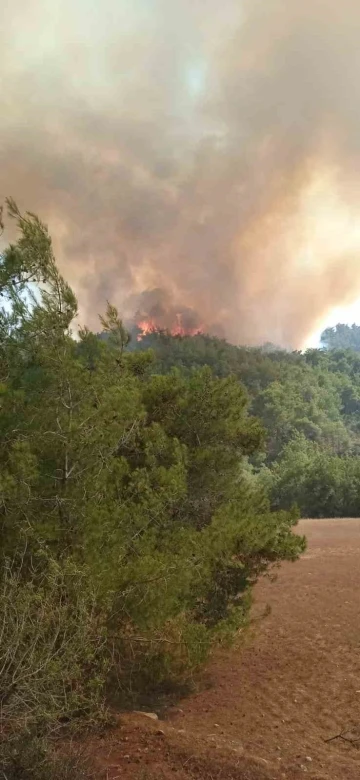 Adana’da orman yangını
