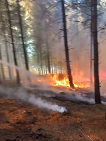 Adana’da orman yangını
