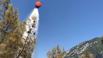 Adana’da orman yangını söndürüldü
