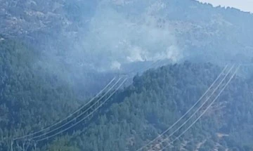 Adana'da yangın söndürme helikopteri düştü! 