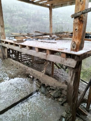 Adana’nın Kuzey ilçelerinde şiddetli sağanak ve dolu yağışı etkili oldu