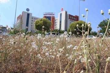 ADÜ’de bir ilk yaşandı, hemşireler maaşlarını alamadı
