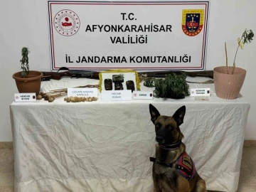 Jandarma uyuşturucu madde ele geçirdi