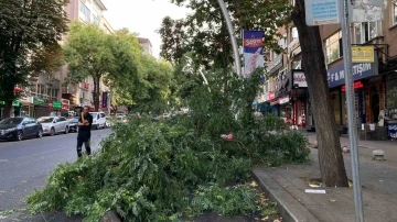 Ağaç dalının araçların üzerine düştüğü anlar kameraya yansıdı
