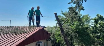 Ağaç lojmanın üzerine devrildi, ekipler kaldırdı
